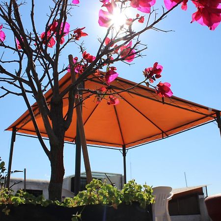 Hotel Oaxaca Magico Bagian luar foto