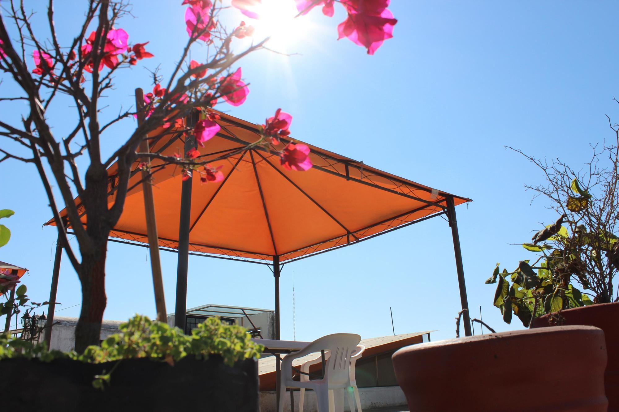 Hotel Oaxaca Magico Bagian luar foto